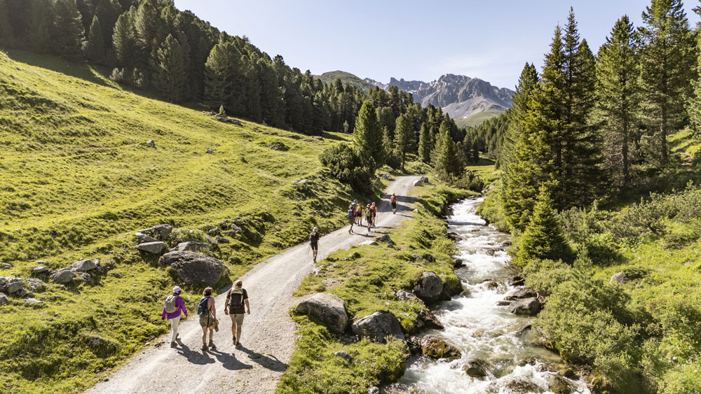 Ein Wanderweg durch eine grüne Berglandschaft mit Tannen verläuft neben einem Bach, auf dem Weg befinden sich wandernde Personen.